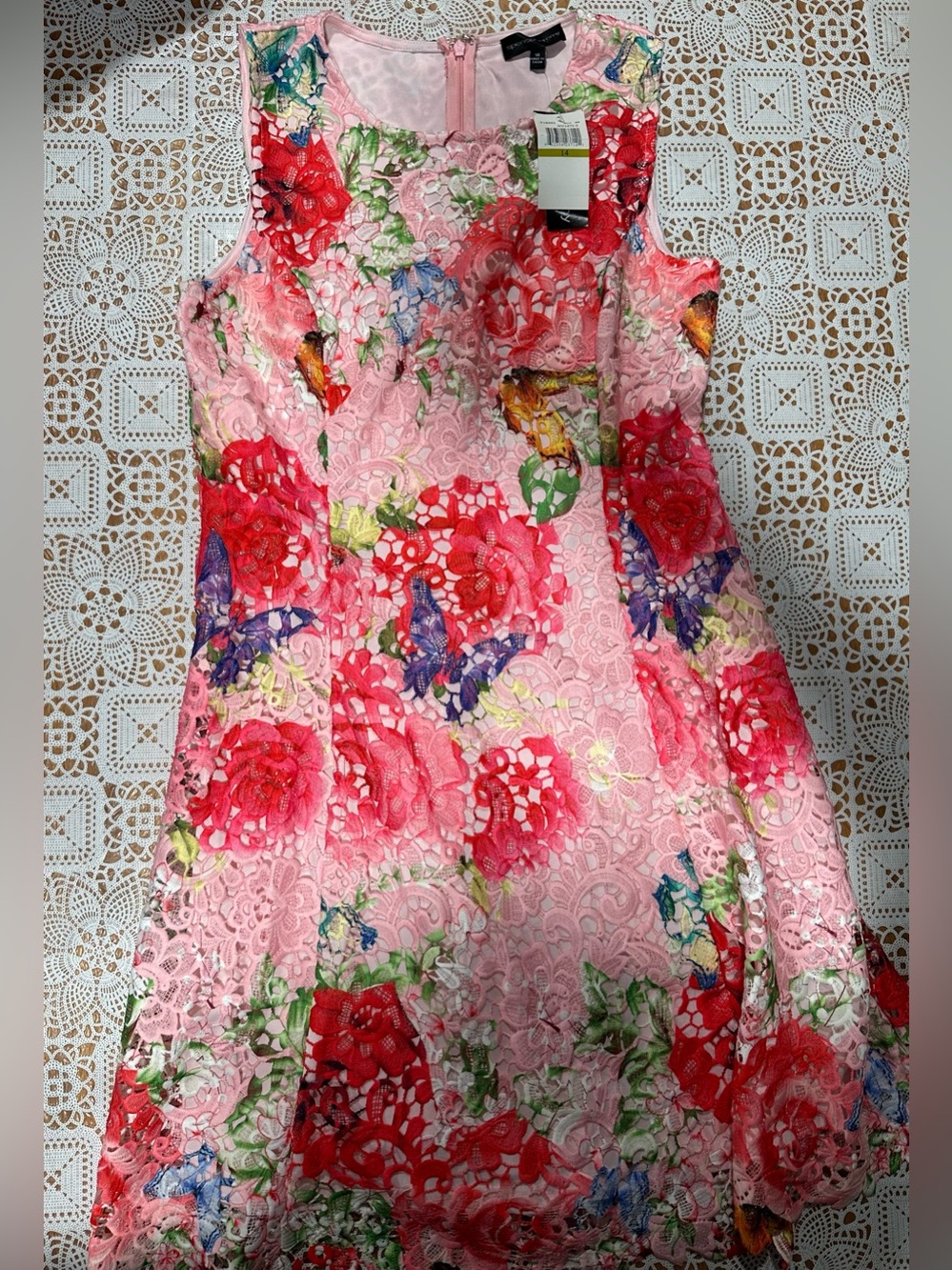 NWT Spencer Jeremy Size 14 Pink Floral Lace Butterfly A-Line Dress
